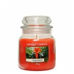 The Last Paradise candela profumata 411 g