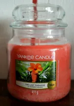 The Last Paradise candela profumata 411 g