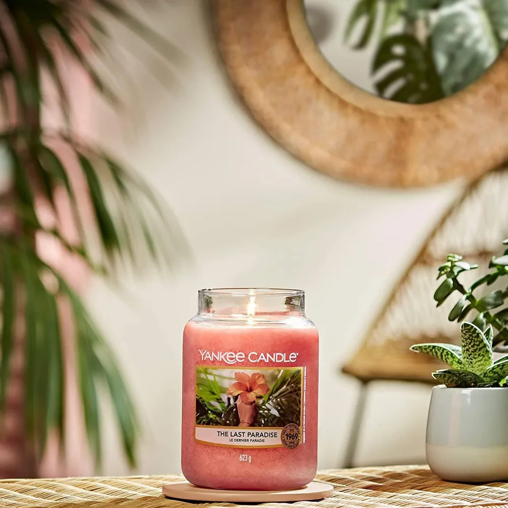 The Last Paradise candela profumata 411 g