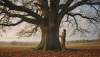 # Cosa ci insegna un albero sul ritmo della natura e della vita