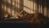 # Come smettere di pensare di notte e dormire serenamente