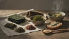 Provate le alghe marine nella cucina ceca in sette modi