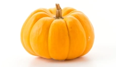 Ricette di zucca hokkaido piene di gusto e salute