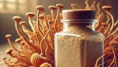 Il segreto del Cordyceps sinensis per l'energia e la longevità