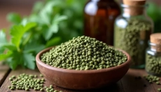 Come utilizzare correttamente i semi di ortica per la vostra salute