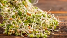 Scopri come i germogli migliorano la salute e la vitalità