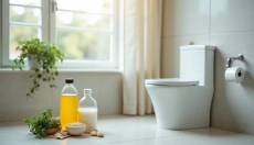 La pietra urinaria nel WC è un problema che puoi risolvere facilmente