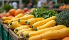 Scopri le ricette con la zucca spaghetti e delizia tutta la famiglia